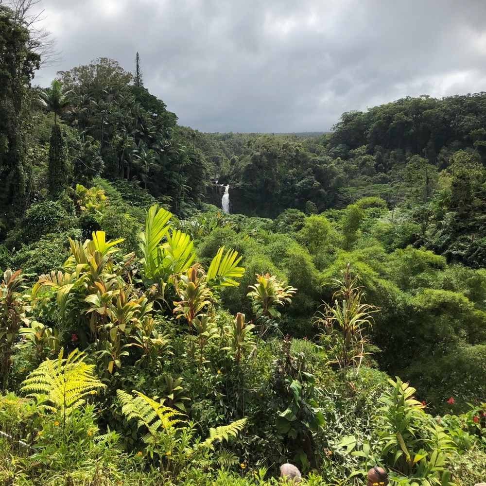 Meet your Posher, Holly